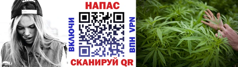 Где найти наркотики Вольск OMG как зайти  APVP  КОКАИН  ГАШИШ  Меф мяу мяу  Каннабис  Псилоцибиновые грибы 