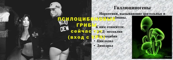 ГАЛЛЮЦИНОГЕННЫЕ ГРИБЫ Баксан