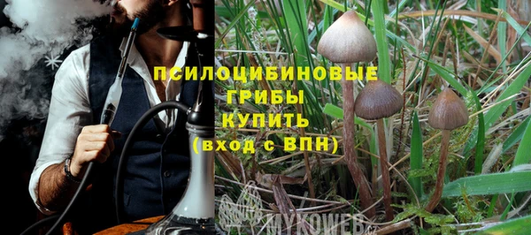 ГАЛЛЮЦИНОГЕННЫЕ ГРИБЫ Баксан