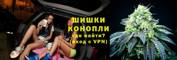 ГАЛЛЮЦИНОГЕННЫЕ ГРИБЫ Баксан
