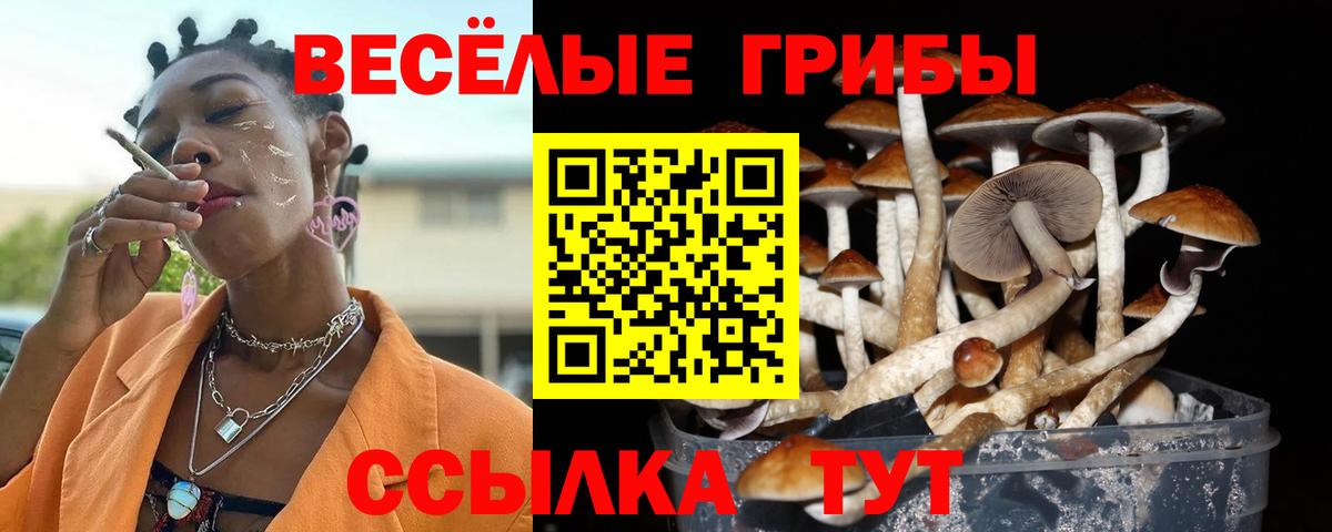 Псилоцибиновые грибы ЛСД Вольск