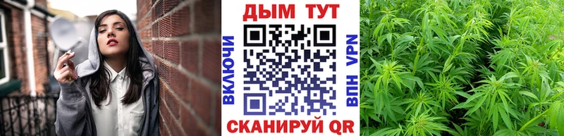 Шишки марихуана Amnesia  Вольск 